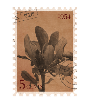 Floral vintage Postage Stamp. Retro Printable post stamp with flowers. Aesthetic cutout Scrapbooking elements for wedding invitations, notebooks, journals, greeting cards, wrapping paper png