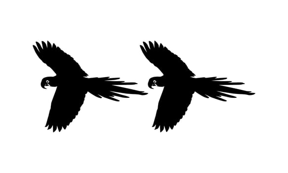 Flying Macaw Bird Silhouette for Logo, Pictogram, Art Illustration, Website or Graphic Design Element. Vector Illustration