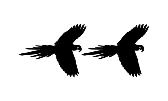 Flying Macaw Bird Silhouette for Logo, Pictogram, Art Illustration, Website or Graphic Design Element. Vector Illustration