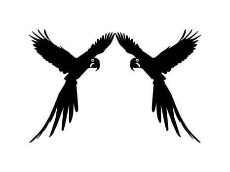 Flying Macaw Bird Silhouette for Logo, Pictogram, Art Illustration, Website or Graphic Design Element. Vector Illustration