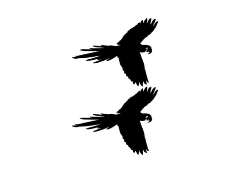 Flying Macaw Bird Silhouette for Logo, Pictogram, Art Illustration, Website or Graphic Design Element. Vector Illustration