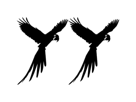 Flying Macaw Bird Silhouette for Logo, Pictogram, Art Illustration, Website or Graphic Design Element. Vector Illustration