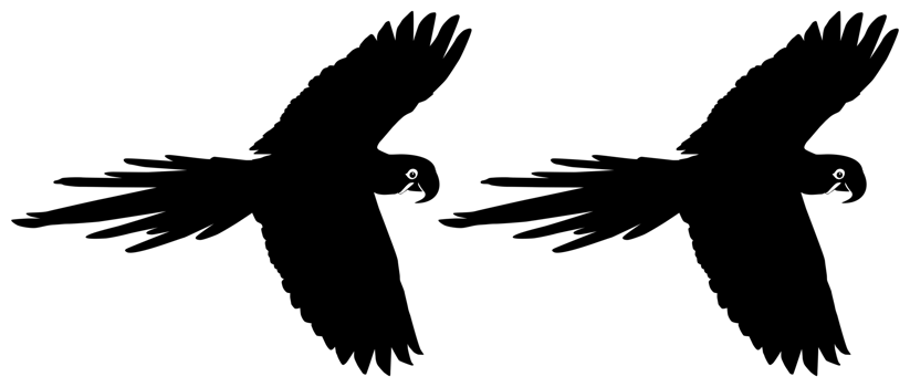 Flying Macaw Bird Silhouette for Logo, Pictogram, Art Illustration, Website or Graphic Design Element. Format PNG