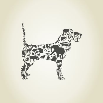 Silhouettes of different breeds of dog. A vector illustration