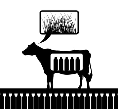Cow in the field. A vector illustration