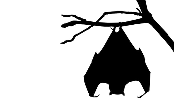 Sleeping Bat on the Branch Tree Silhouette for Halloween Poster, Art Illustration, Horror Movie or Film Poster of for Graphic Design Element. Vector Illustration