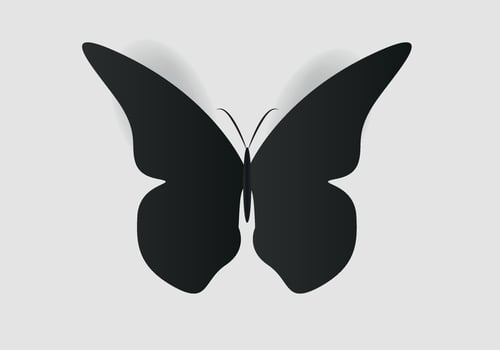 Butterfly conceptual simple, colorful icon. Logo. Vector illustration
