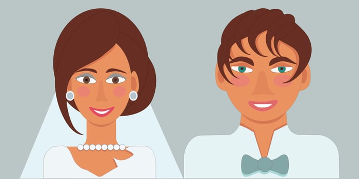 wedding portrait of the bride and groom vector