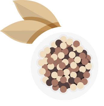 India national food illustration png