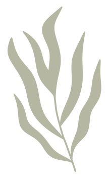 pastel green tropical palm Leaf png