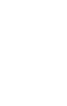 line art tropical leaves. png
