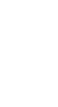 line art tropical leaves. png