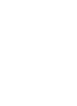 line art tropical leaves. png