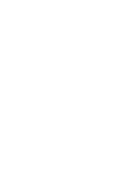 line art tropical leaves. png