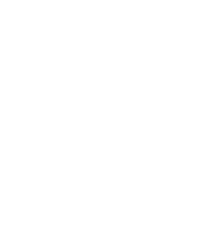 line art tropical leaves. png