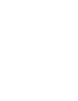 line art tropical leaves. png