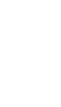 line art tropical leaves. png