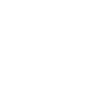 line art tropical leaves. png