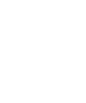line art tropical leaves. png