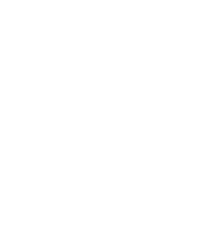 line art tropical leaves. png