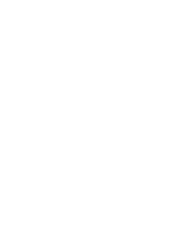 line art tropical leaves. png