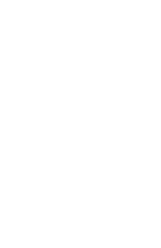 line art tropical leaves. png