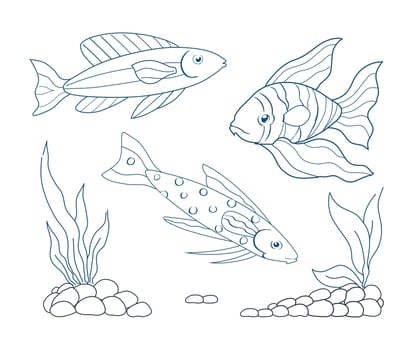 Underwater fish set. Goldfish, geophagus and striped fish. Stones with seaweed on the bottom. Vector illustration set.