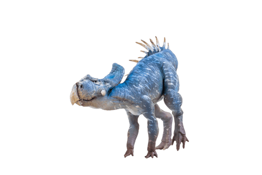 Protoceratops  , dinosaur on  isolated background png