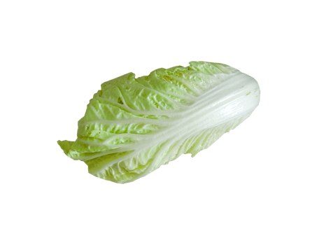 side view of lettuce on transparent background png