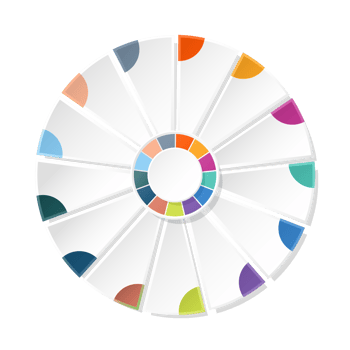 Infographic with 13 steps, process or options. png