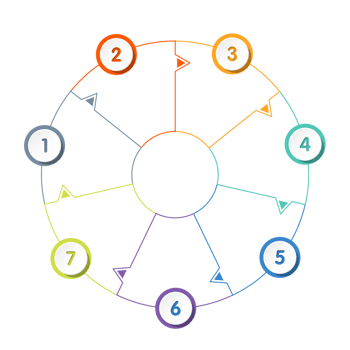 Infographic with 7 steps, process or options. png
