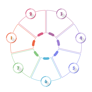 Infographic with 7 steps, process or options. png