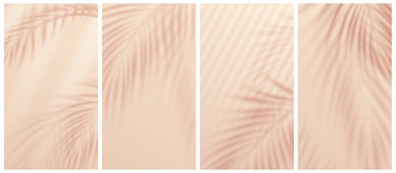 Palm leaves shadow overlay on beige background vector