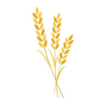 Oat symbol vector. Wheat logo design. vector