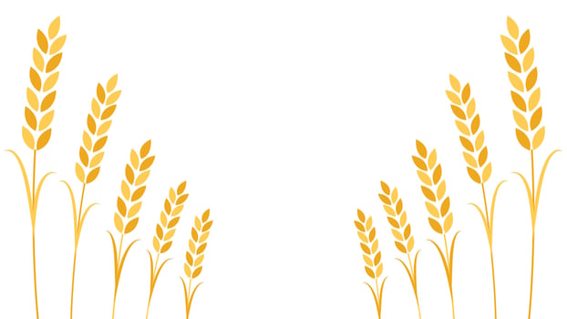 Wheat pattern wallpaper. oat symbol. free space for text. rice sign. Rice pattern wallpaper. vector