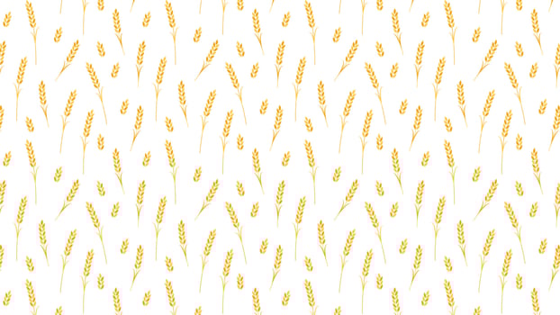 Wheat pattern wallpaper. oat symbol. free space for text. rice sign. Rice pattern wallpaper. vector