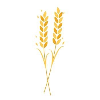 Oat symbol vector. Wheat logo design. vector