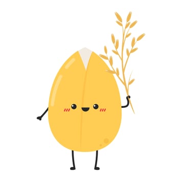 Rice character design. rice vector on white background. Paddy vector.