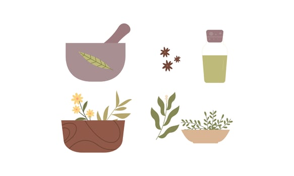 Homeopathy, aromatherapy, natural traditional medicine set. Herbs, herbal tea, homeopathic naturopathic essentials, healing plants. vector