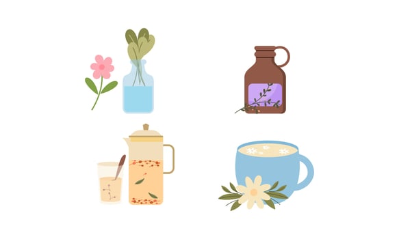 Homeopathy, aromatherapy, natural traditional medicine set. Herbs, herbal tea, homeopathic naturopathic essentials, healing plants. vector