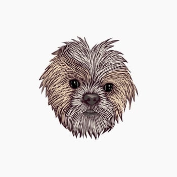 head dog icon logo vector