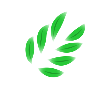 Long leaves like corn leaves illustration png