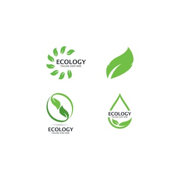 Ecology Tree Leaf Logo Template vector