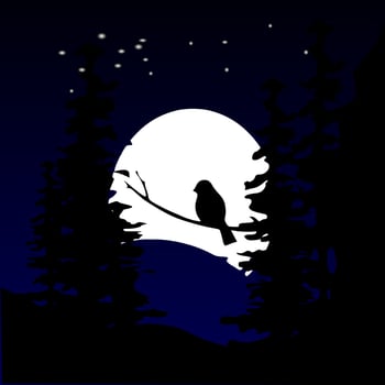 night illustration,dark night,beckground vector