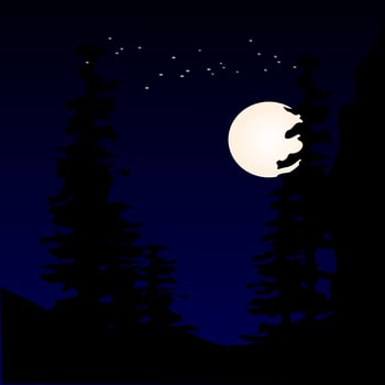 night illustration,dark night,beckground vector