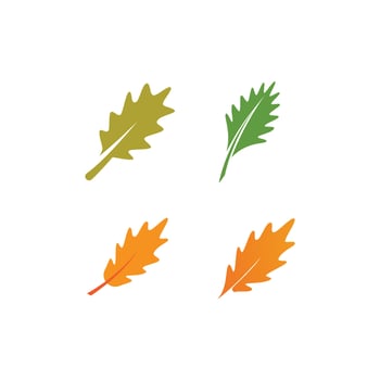 Oak Leaf Logo vector