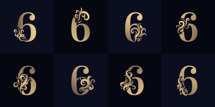 Collection number 6 logo with luxury ornament design vector