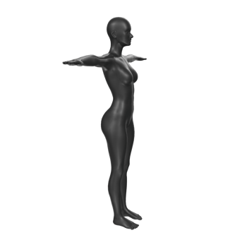 Female Basemesh isolated on transparent png