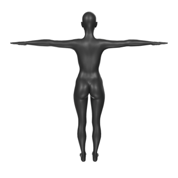 Female Basemesh isolated on transparent png