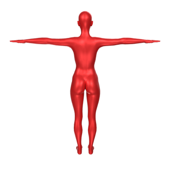 Female Basemesh isolated on transparent png